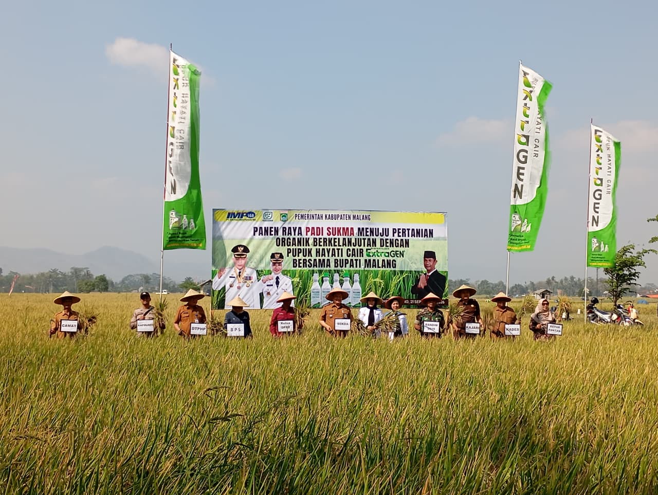 Dukung Ketahanan Pangan, Danramil Sumberpucung dan Muspika Hadiri Panen Raya Padi Organik di Desa Ternyang